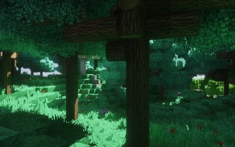 《我的世界》MOD|1.16.5真实树叶|