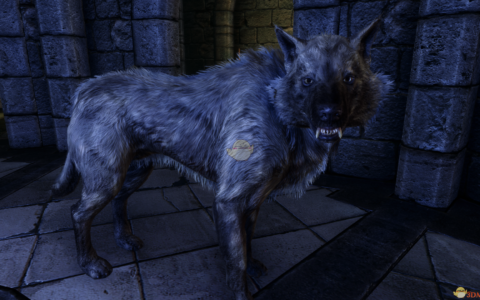 《上古卷轴5：天际重制版》MOD|召唤法术白狼|