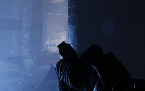 直播镜头（Live Lens Bodycam）|解压即玩|