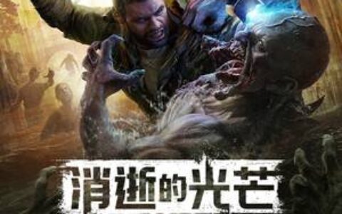 《消逝的光芒：困兽》MOD|全自动枪支|下载