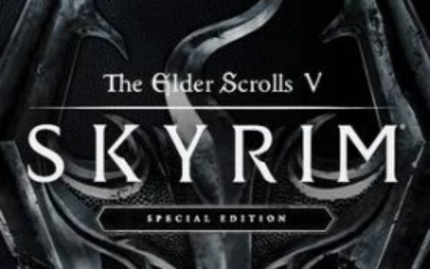 《上古卷轴5：天际重制版》MOD|游戏信息窗口|下载