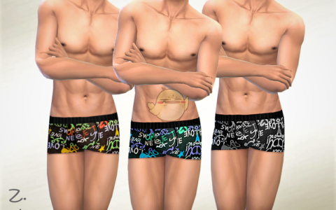 《模拟人生4》MOD|男士的花内裤|