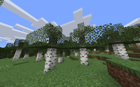 《我的世界》MOD|1.16.5树叶渲染优化|